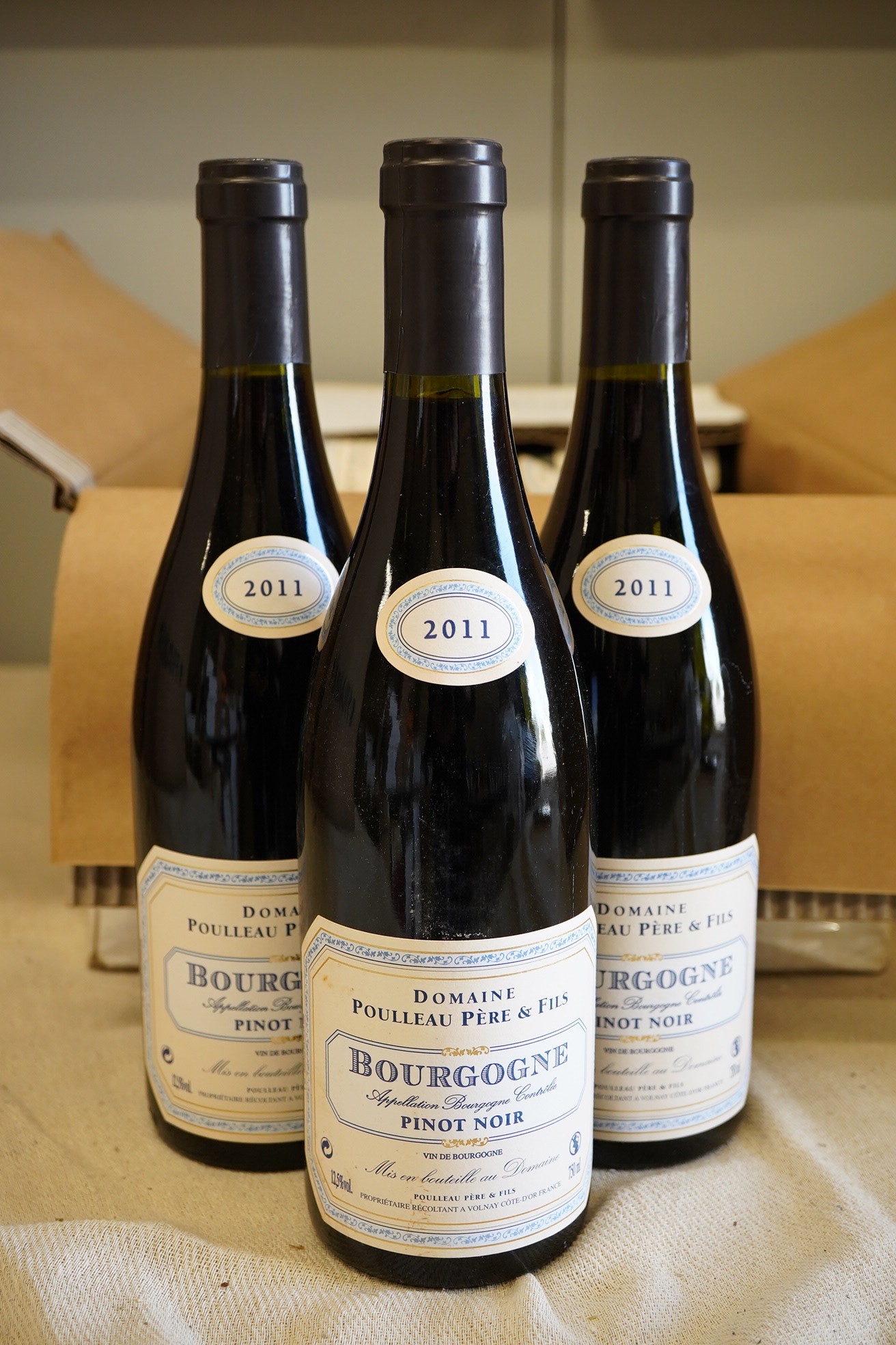 Domaine Poulleau Pere et Fils, Bourgogne Pinot Noir, 2011